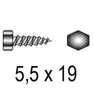 ВС 5,5х19 DIN 7976